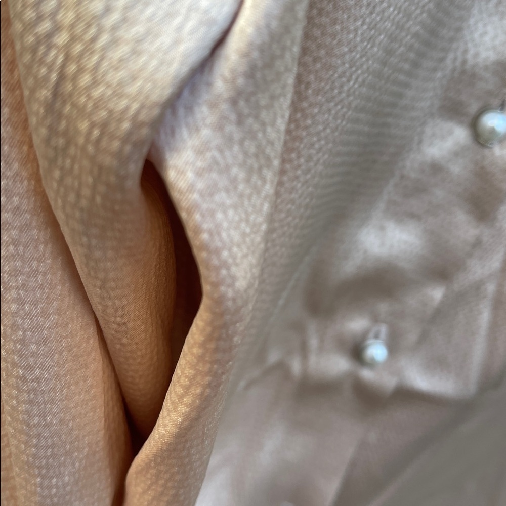 NWT Adrianna Papell Beige Textured Button Down Blouse Size: XL - Picture 5 of 9